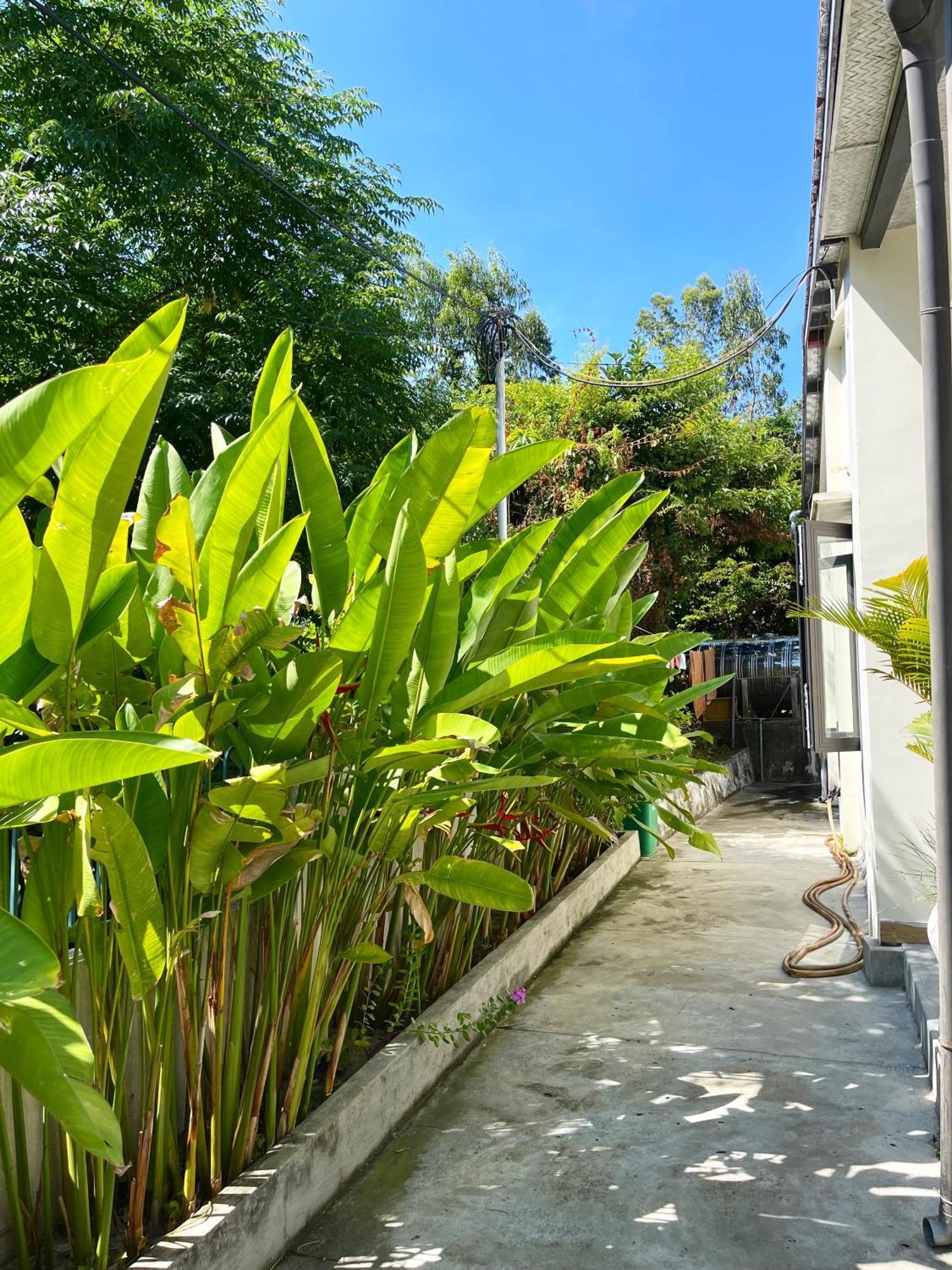 Crest House Beachside - Three-Bedroom Private House On Cham Island Hoi An Tân Hiệ Eksteriør bilde